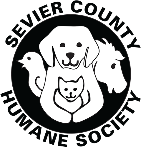 Facebook (520x520), Png Download