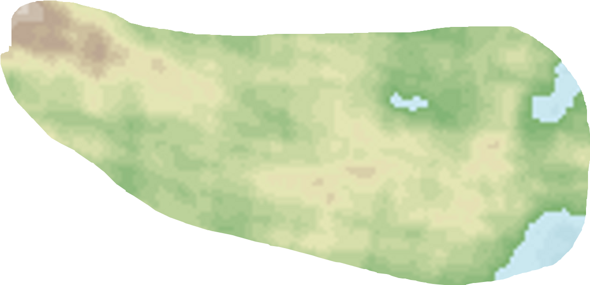 Go To Maldin Homepage - Tree (1500x750), Png Download