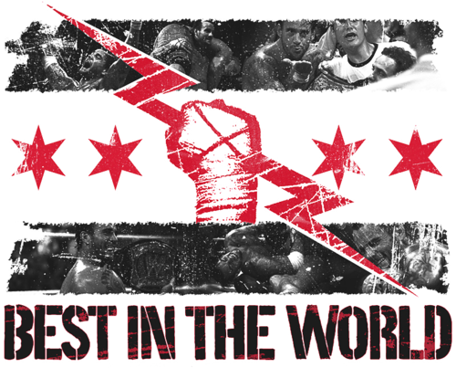 Wwe, Wrestling, And Cmpunk Image - Wwe Best In The World (500x403), Png Download