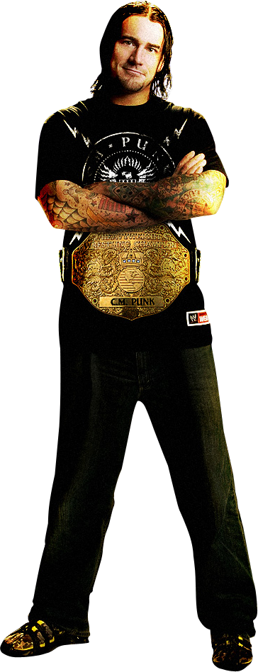 24 Jul 2011 - Wwe Cm Punk (364x948), Png Download