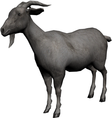 Cabra Comun2 - Imagem Cabra Png (640x480), Png Download