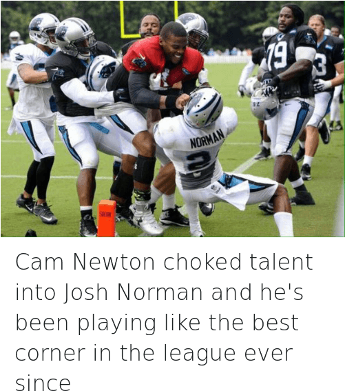 Cam Newton, Carolina Panthers, And Football - Cam Newton Josh Norman Fight (500x584), Png Download