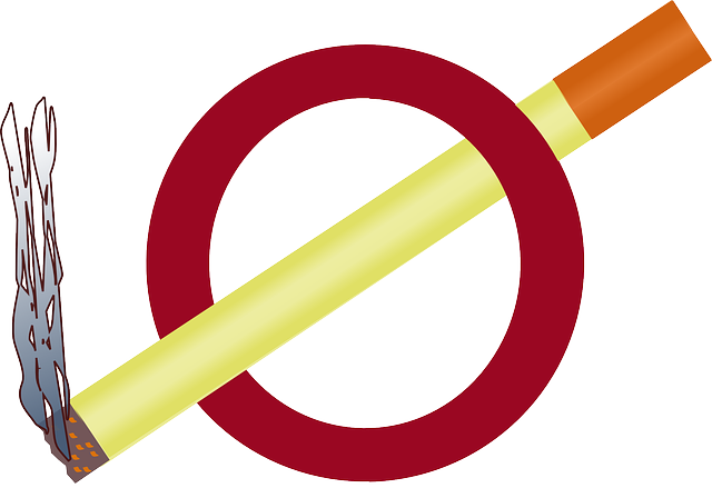 Sign, Symbol, Circle, Signs, Symbols, Smoking, Smoke - Smoke Sign (640x439), Png Download