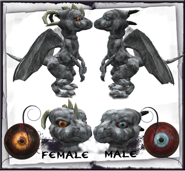 Circula 1 (650x600), Png Download