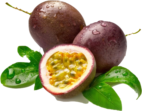 Fruit De La Passion - Scientific Name Of Passion Fruit (520x422), Png Download