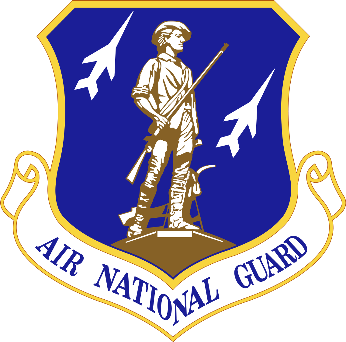 Air National Guard Emblem - Air National Guard Logo (438x432), Png Download
