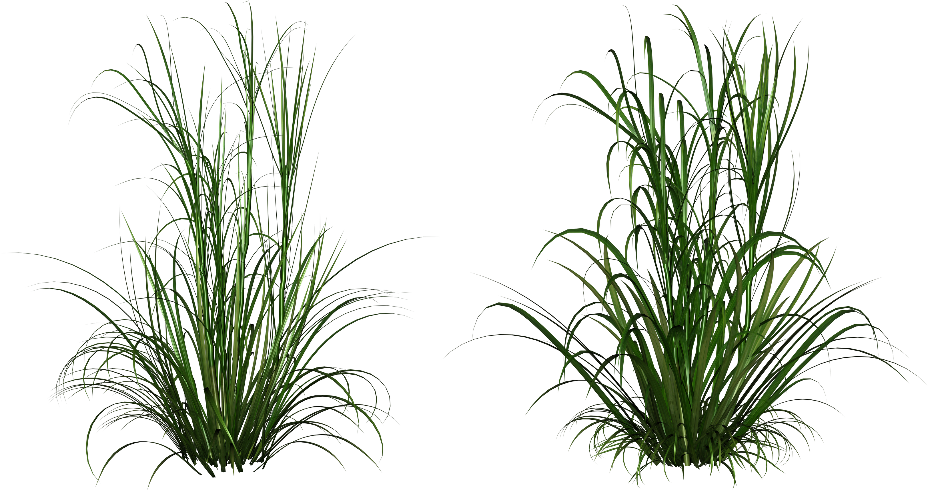 Clip Clip Art Transprent Png Free - Out Of Africa Mug (3247x1715), Png Download