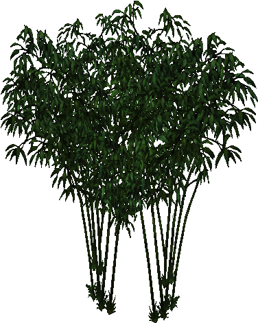 Fountain Bamboo - Bamboo (500x500), Png Download