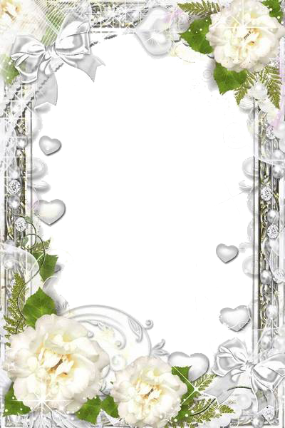 Image - Photograph (400x600), Png Download