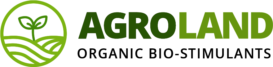 Fountain Grass - Graphics (900x240), Png Download