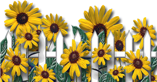 The Sunflower, Printable Paper, Flower Pots, Flowers, - Sunflower Happy Birthday Letter (519x640), Png Download