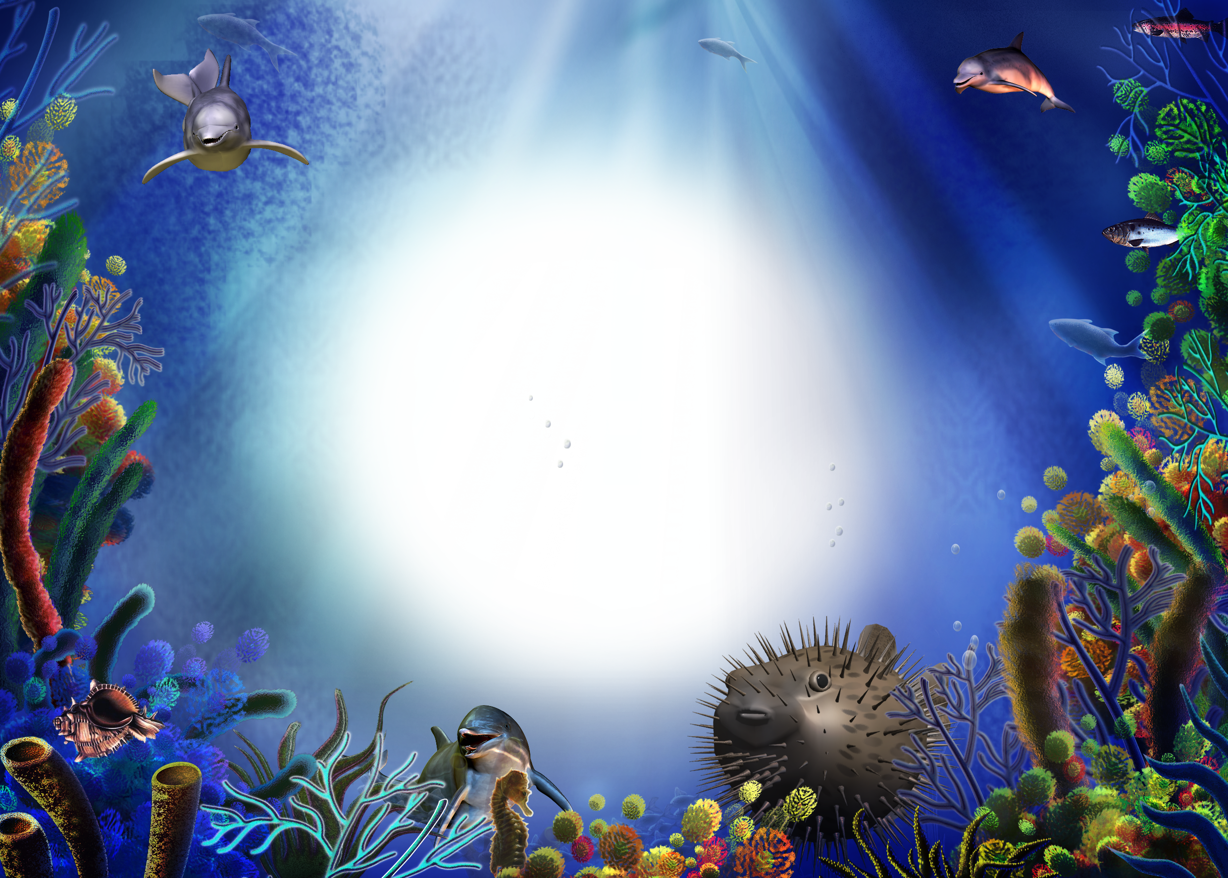 Od-45 - Aquarium (2480x1772), Png Download