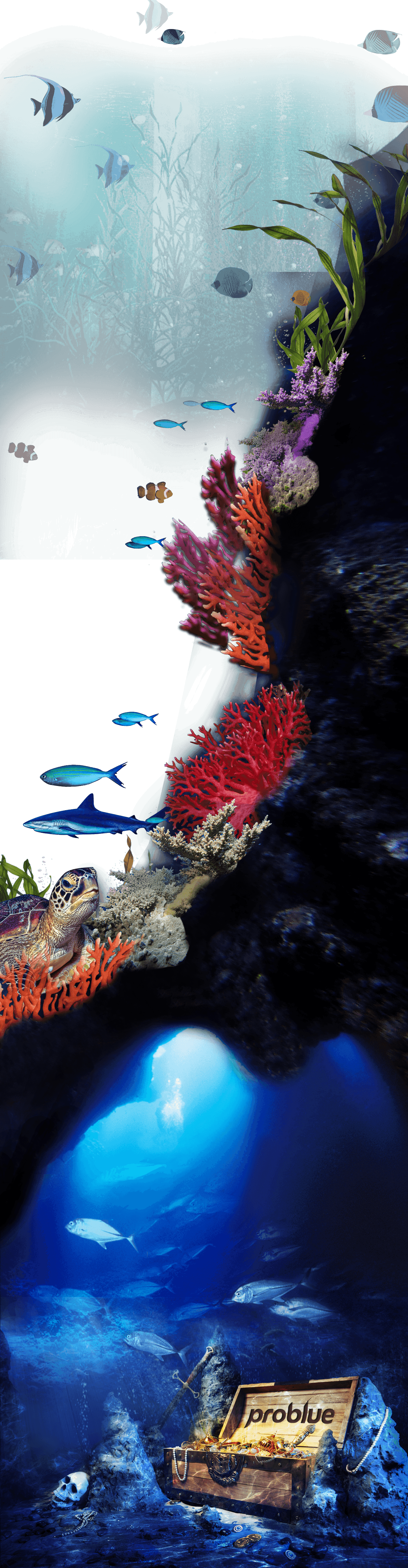 Underwater Treasure Full - Treasure Of Malaga Cove (1366x5243), Png Download