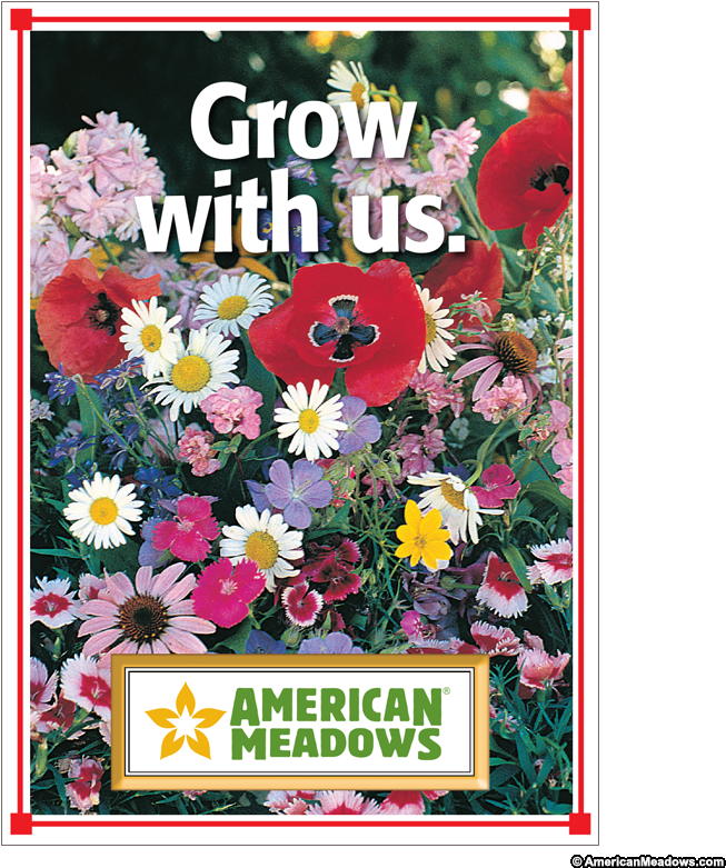 Grow With Us Full Size Seed Packet - Wildflowers Shady Mix Seed (800x800), Png Download