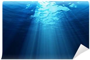 Na:i:en. Jonathan Saunders, - Ebook (400x400), Png Download