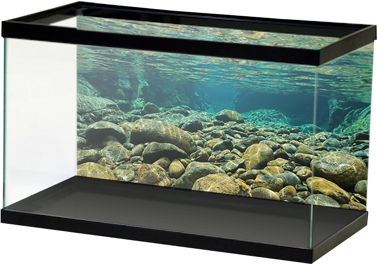 Aquariumvinyl Underwaterriverrocks (800x800), Png Download
