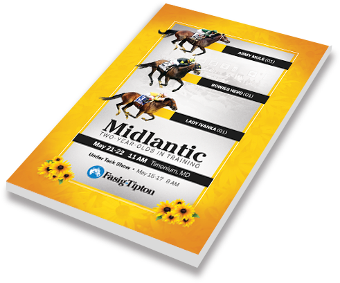 19 May - Graphic Design (571x463), Png Download