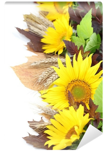 Sunflower Border With Barley And Colorful Leaves Wall - Stock Photography (400x400), Png Download