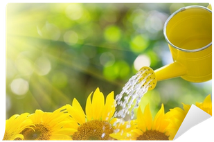 Regar Las Plantas Por La Mañana (400x400), Png Download