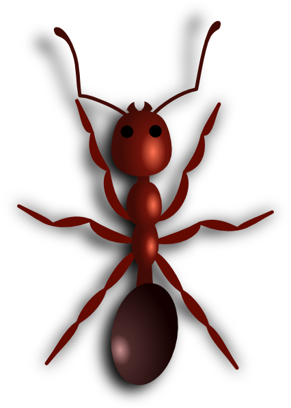 Ant Cartoon Png - Ant Clip Art (426x596), Png Download