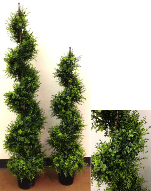 Eucalyptus Spiral Topiary - Fortune Silks Inc. (520x656), Png Download
