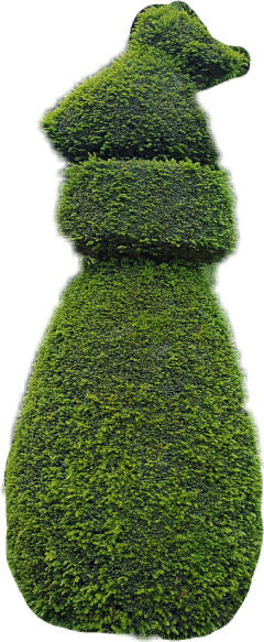 Arbre Freetoedit - Tree (240x583), Png Download