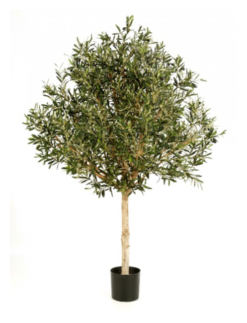 Olijfboom Topiary, 180cm - Artificial Olive Tree Outdoor (640x640), Png Download