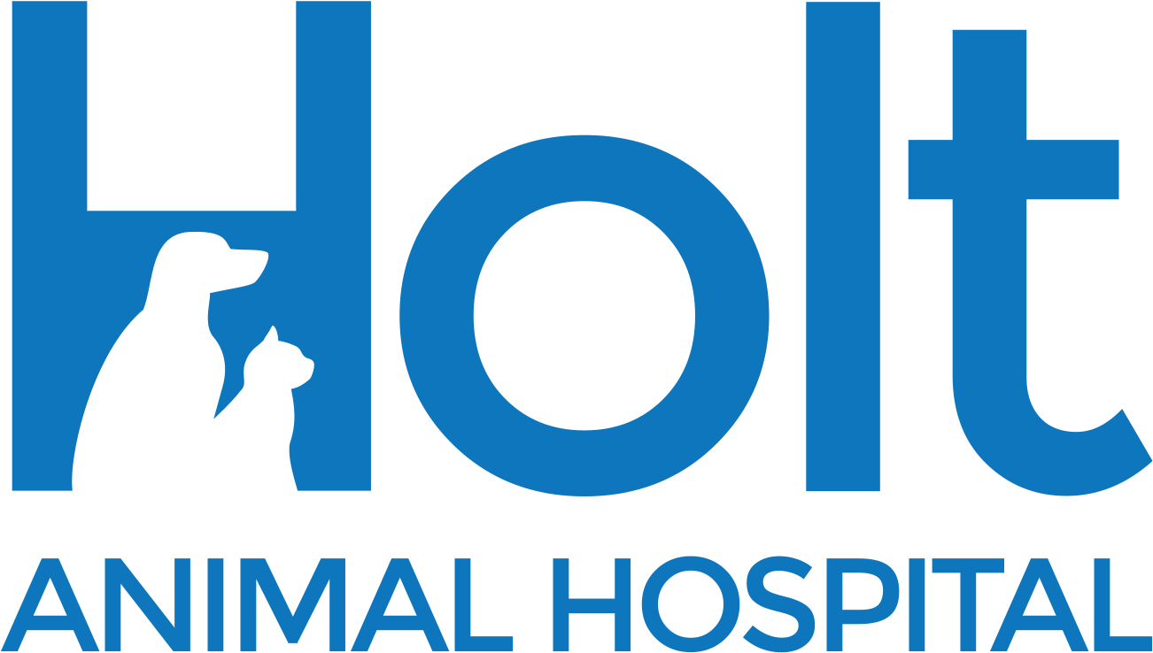Home - Holt Animal Hospital (1353x759), Png Download