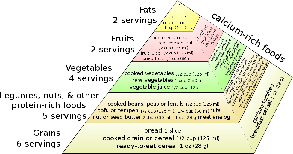 Download Vegan Food Pyramid American Dietetic Association Vegetarian