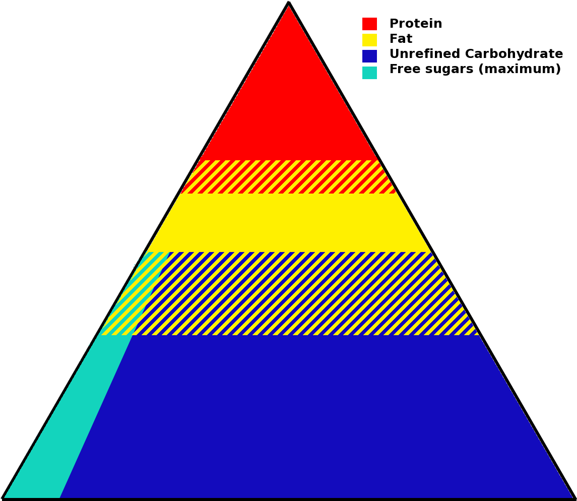 File - - Food Pyramid Of Biomolecules (1200x1200), Png Download