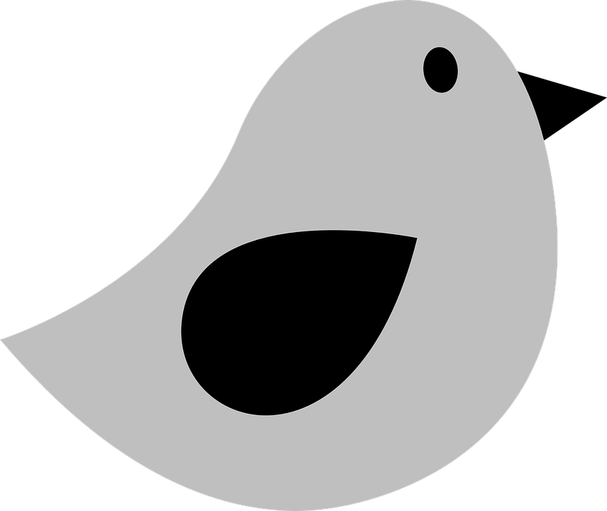 Bird Twitter Grey Tiny Tweet Sparrow Bird - Tiny Bird Vector (403x340), Png Download
