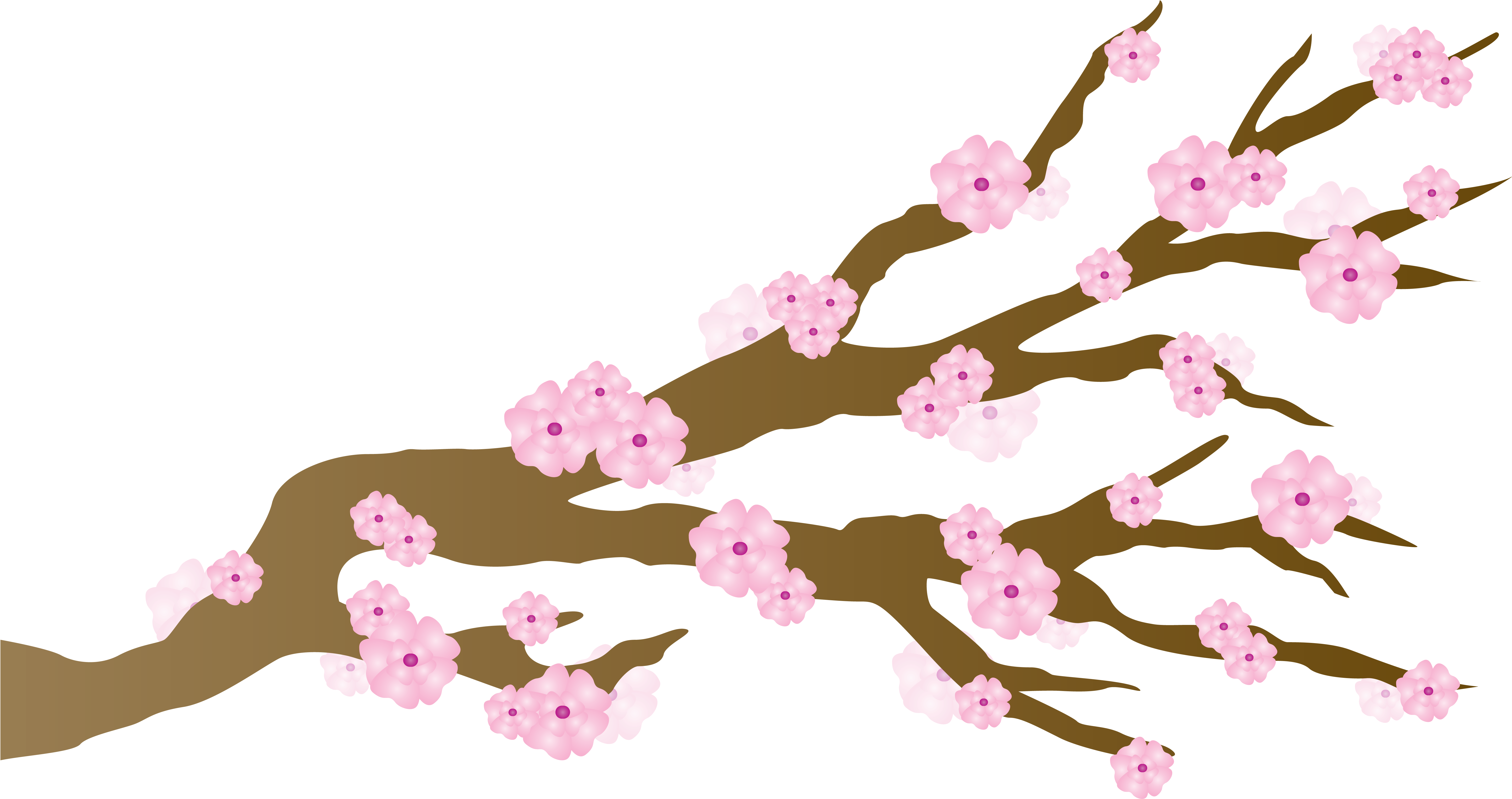 Pink Cherry Blossoms Japanese Draft Free Image Clipart - Cherry Blossom (6600x5100), Png Download