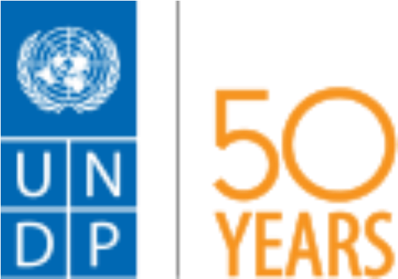 Undp Blend Logo 50 - United Nations Development Programme (600x401), Png Download