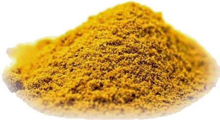 It Is An Ingredient Of Curry And, As For The Shape, - Curcuma Especia (500x282), Png Download