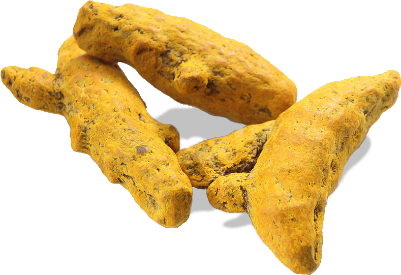 Source - - Turmeric Raw (834x604), Png Download