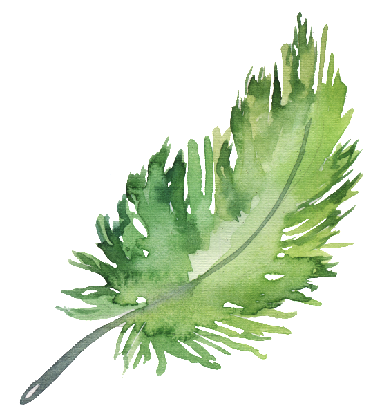 Png Element Material For Hand Painted Green Leaves - Feather (650x834), Png Download