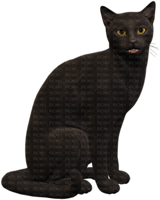 Chat Noir - .net (321x400), Png Download