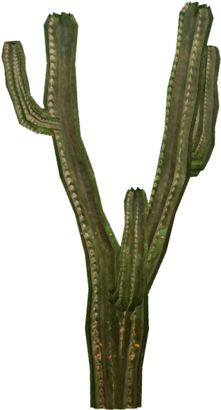 Cactus 4 - Hedgehog Cactus (580x580), Png Download