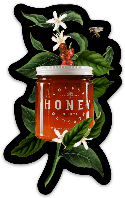 Blooming Honey Magnet (499x787), Png Download