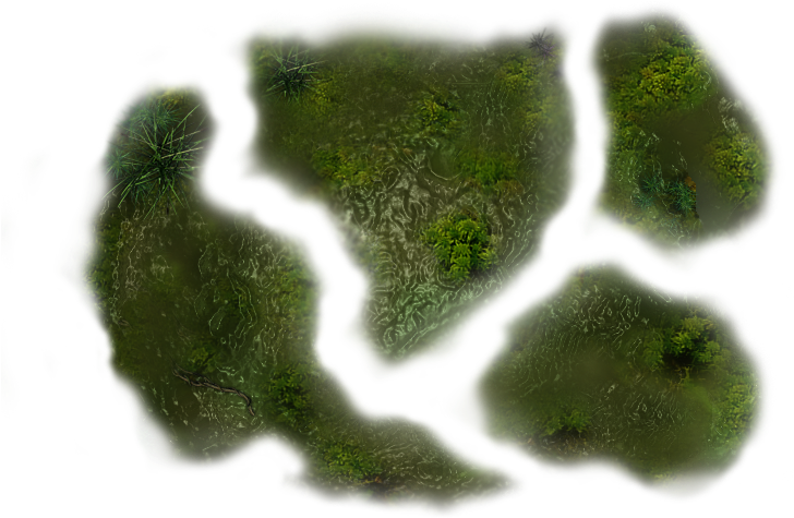 37 635k Swamp 6 Sc Dgw 06 Feb 2009 - Chlorophyta (727x498), Png Download