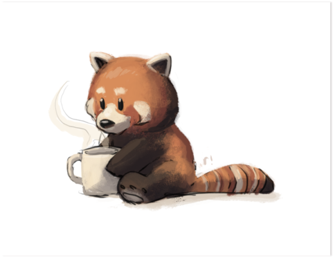 Print Redpanda - Red Panda Drinking Coffee (500x500), Png Download