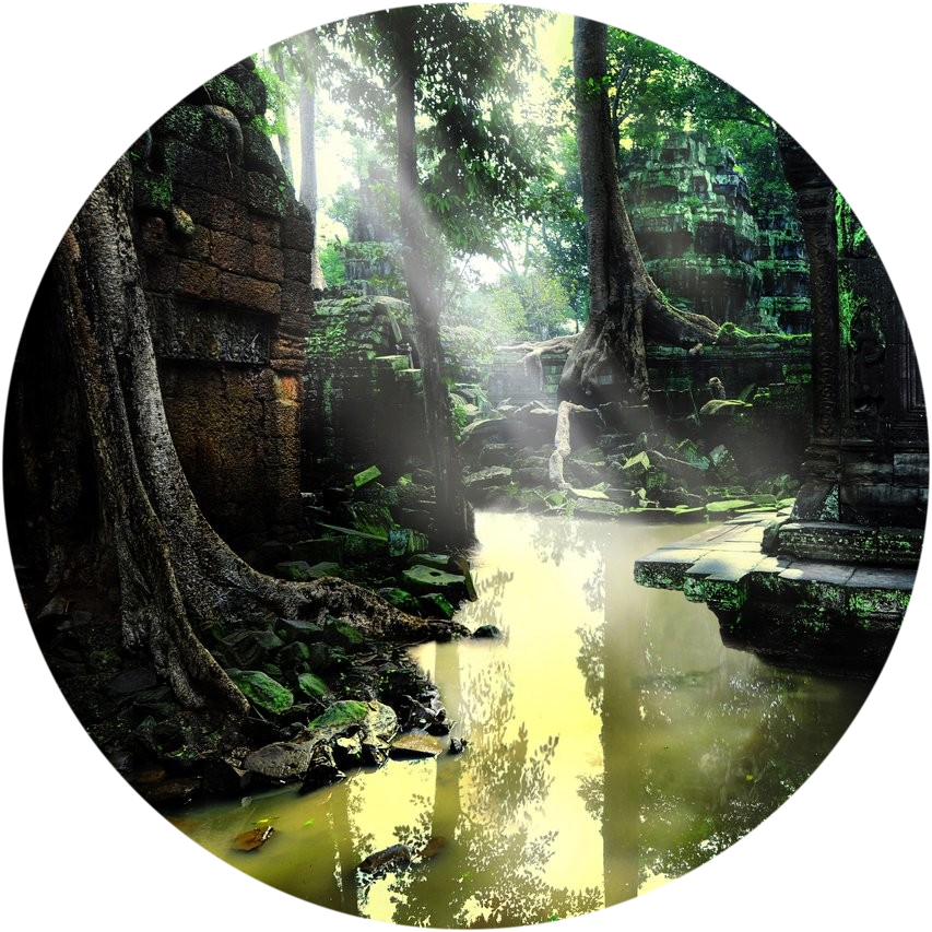 Eternal Swamp - Mooie Foto's Van De Natuur (853x853), Png Download