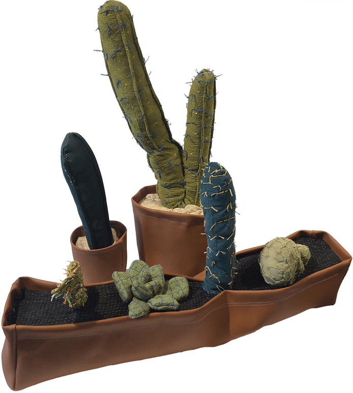 Cacti - « - Hedgehog Cactus (694x774), Png Download
