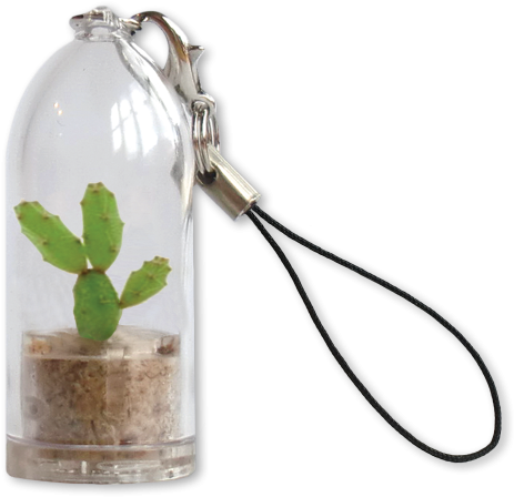Cactus Keyrings Eco-friendly Sustainable Promo Products - Feel Green Plantochi - Spike (500x500), Png Download