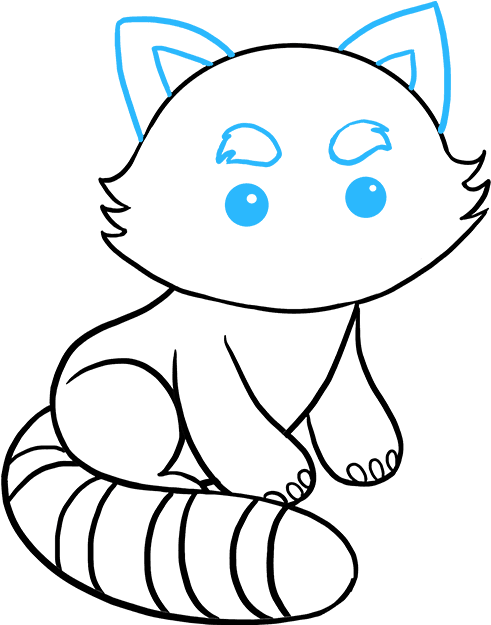 How To Draw Red Panda - Drawing (680x678), Png Download