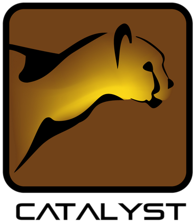 Catalyst Version (400x446), Png Download