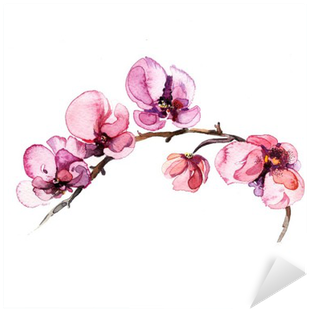 The Watercolor Flowers Orchid Isolated On The White - Seasons Of Hope And Encouragement: A Devotional [book] (400x400), Png Download