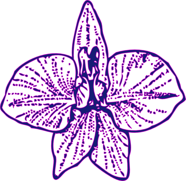 How To Set Use Blue Orchid Svg Vector (600x586), Png Download