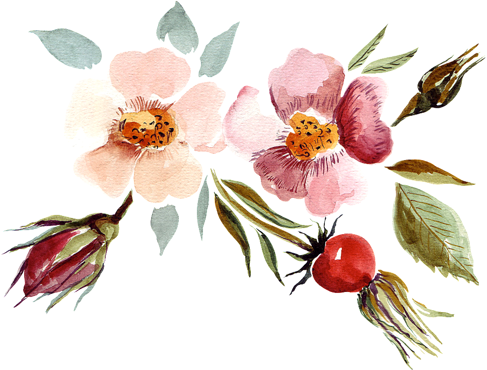 Hand Painted Watercolor Flowers Decorative Illustration - 60th Birthday Invitations Female (1024x752), Png Download