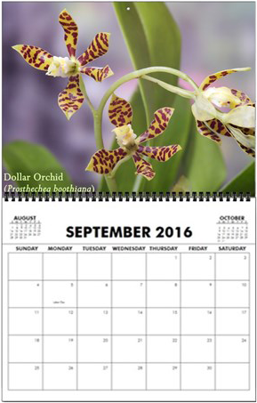 First Up, We Have Our Most Popular Calendar To Date, - 跳跃 者 塔 克 (460x460), Png Download